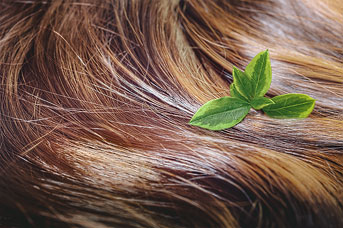 Haircare_concept_beautiful_shiny_hair_with_green_leaves